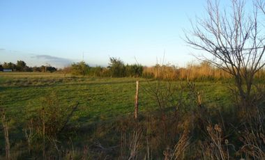 Quinta de 2700 m2 con 37 metros sobre avenida en Ingeniero Allan, Florencio Varela