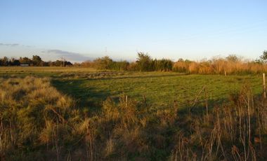 Quinta de 2700 m2 con 37 metros sobre avenida en Ingeniero Allan, Florencio Varela