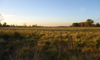 Quinta de 2700 m2 con 37 metros sobre avenida en Ingeniero Allan, Florencio Varela