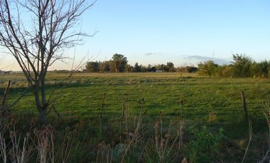 Quinta de 2700 m2 con 37 metros sobre avenida en Ingeniero Allan, Florencio Varela