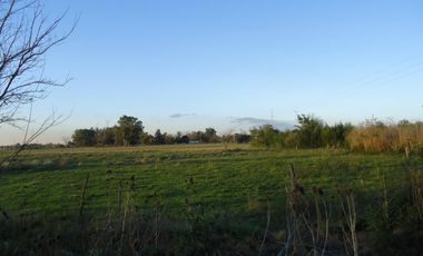 Quinta de 2700 m2 con 37 metros sobre avenida en Ingeniero Allan, Florencio Varela