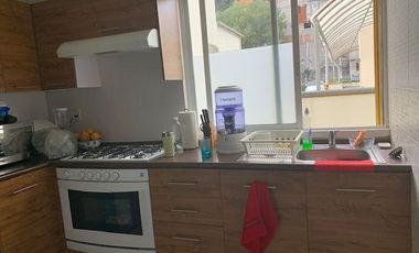 VENTA DE DEPARTAMENTO PALO SOLO