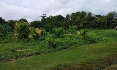 Lot for Lease for Residential or Industrial located in Mandaue City