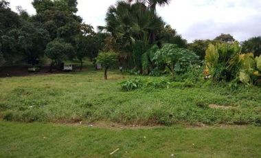 Lot for Lease for Residential or Industrial located in Mandaue City