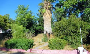 Parcela en Venta en Avenida Central / Lo Cañas