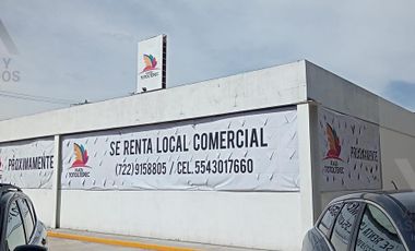 Local - Toluca