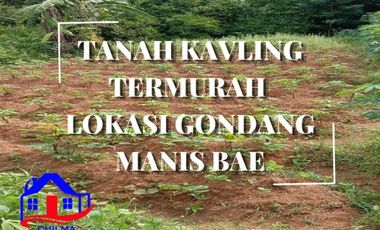 TERMURAH! Tanah Dijual Lokasi Gondang Manis Cocok Untuk Investasi