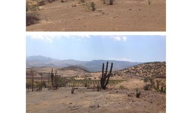 Parcela en Venta en KILOMETRO 41 AUTOPISTA LOS LIERTADORES