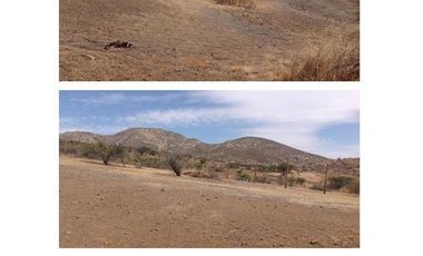 Parcela en Venta en KILOMETRO 41 AUTOPISTA LOS LIERTADORES