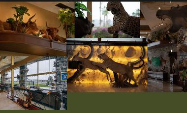 TERRENOS EN VENTA EN CAMPESTRE VILLA JUAREZ, CIUDAD JUAREZ DURANGO