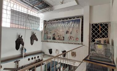 casa-local en venta en latino. Cod V26304