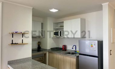 Arriendo departamento amoblado Vista Herradura II