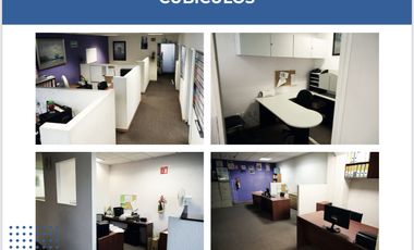 Estupendas oficinas en Tlalnepantla