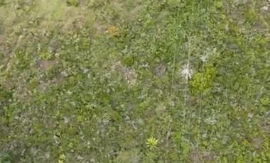 lote en venta en villa de leyva. Cod V12490