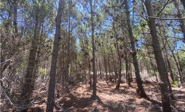 LOTE EN VENTA - MARITIMO IV 6 - COSTA ESMERALDA