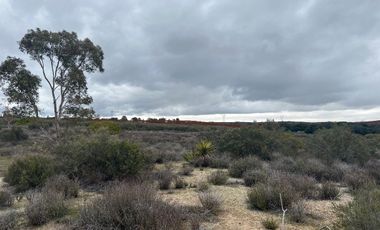 TERRENO EN VENTA EN TECATE