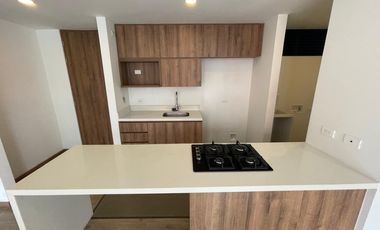 apartamento en arriendo en el trianon. Cod A513046