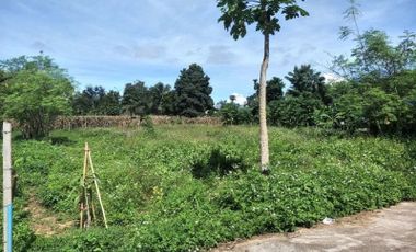 1 Rai For Sale Close to Pai town, Perfect To Build A House!