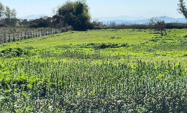 Parcela en Venta en Camino Alto Rumay