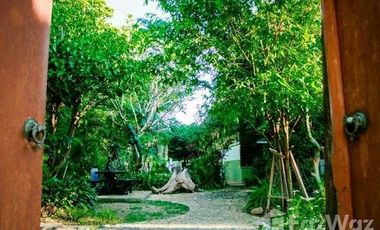 4 Bedroom House for sale in Chomphu, Chiang Mai
