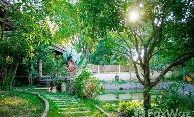4 Bedroom House for sale in Chomphu, Chiang Mai