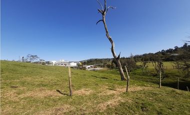 LOTE EN VENTA EN ALTO DE LAS PALMAS X3