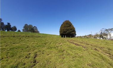 LOTE EN VENTA EN ALTO DE LAS PALMAS X3