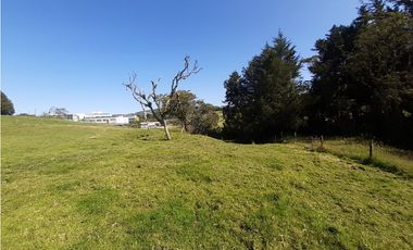 LOTE EN VENTA EN ALTO DE LAS PALMAS X3