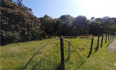 LOTE EN VENTA EN ALTO DE LAS PALMAS X3