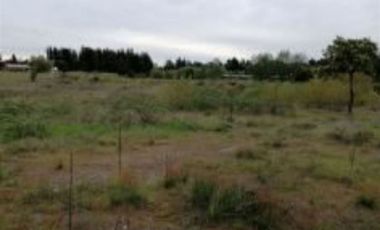 Sitio en Venta en Carretera 5 Sur (Sector Saldo Del Laja)