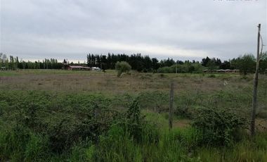 Sitio en Venta en Carretera 5 Sur (Sector Saldo Del Laja)