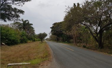 Terreno en venta en Pedasí, Hacienda Los Gavilanes