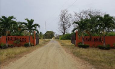 Terreno en venta en Pedasí, Hacienda Los Gavilanes