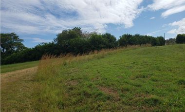 Terreno en venta en Pedasí, Hacienda Los Gavilanes