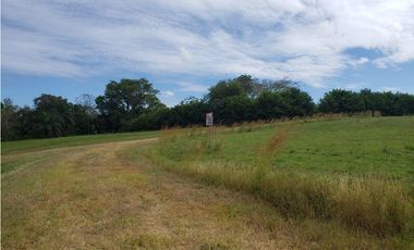 Terreno en venta en Pedasí, Hacienda Los Gavilanes