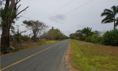Terreno en venta en Pedasí, Hacienda Los Gavilanes