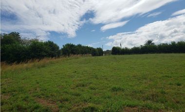 Terreno en venta en Pedasí, Hacienda Los Gavilanes