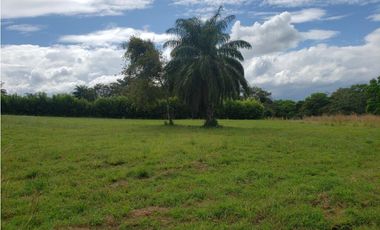 Terreno en venta en Pedasí, Hacienda Los Gavilanes