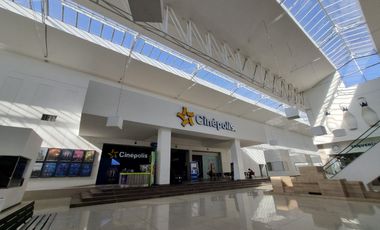 VENTA DE LOCALES JUNTOS EN PLANTA BAJA EN PLAZA LA NORIA! EXCELENTE UBICACION!