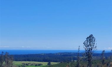 Parcela en Venta en Cardonal de Panilonco, Pichilemu