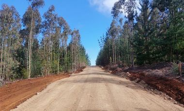 Parcela en Venta en Cardonal de Panilonco, Pichilemu