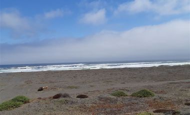 Parcela en Venta en Cardonal de Panilonco, Pichilemu