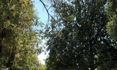 ESPECTACULAR PARCELA VENTA SECTOR  PARQUE MAJADAS DE PIRQUE