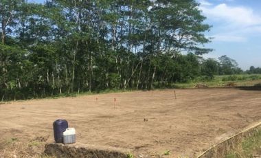 Angsur non Bunga: Tanah Magelang Dekat Exit Tol Palbapang