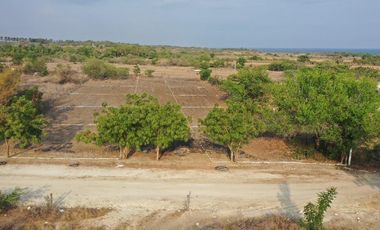 TERRENO EN PLAYA AGUA BLANCA LA GRAVA,PTO.ESC.OAX.