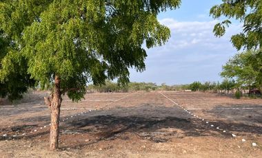 TERRENO EN PLAYA AGUA BLANCA LA GRAVA,PTO.ESC.OAX.