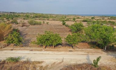 TERRENO EN PLAYA AGUA BLANCA LA GRAVA,PTO.ESC.OAX.