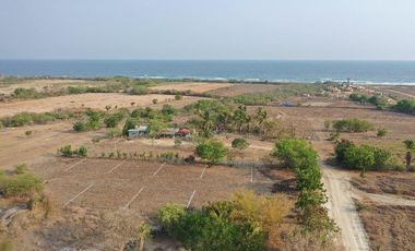 TERRENO EN PLAYA AGUA BLANCA LA GRAVA,PTO.ESC.OAX.