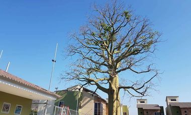 CASA EN VENTA, APLICA CRÉDITO MITI MITI