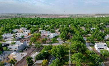 Terreno en Venta, San Armando Bosque Residencial, Torreón, Coahuila